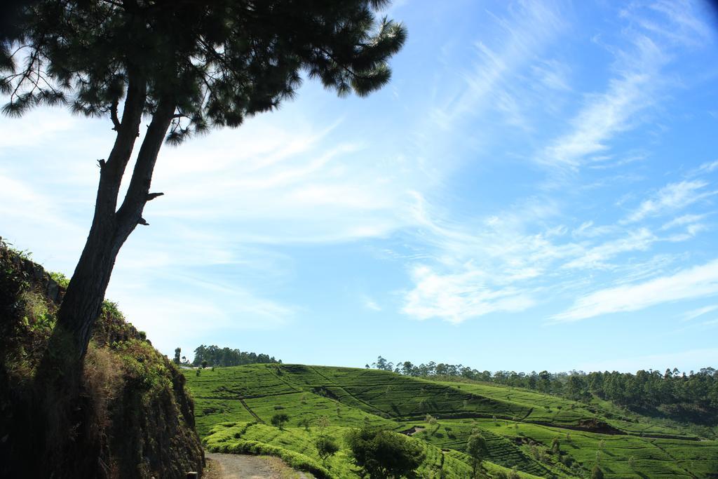 Orient Hotel Bandarawela Ngoại thất bức ảnh
